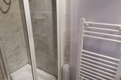 Shower and heated towel rack